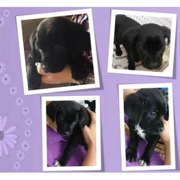 D 391ed7c8 daa2 485f a3e4 19bdf1af4883