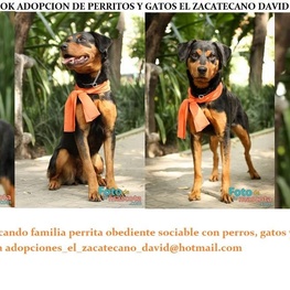 D 49dccd4e 50bf 4fff b36b 7669c93cef27