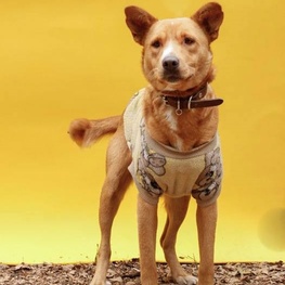 D 18437365 c33e 4607 a871 2505cc0b3b57