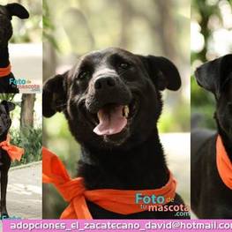 D 84135551 deb1 470a 878f f5e6f93a9589