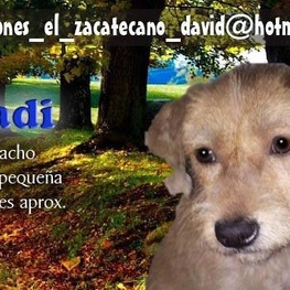 D 207f6ac7 eab2 4859 a784 1a3b57ace576