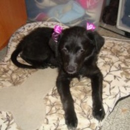 D 9a935ac6 64eb 4531 831b deb3a510aa4f