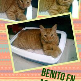 D 196a703a c78b 4363 8b9f 4960b7fbb56b