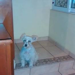 D 9b79d3dd f45a 4a26 997e cadfcb4bbc01