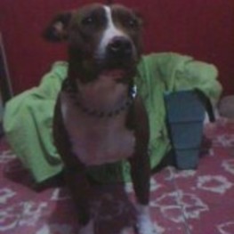 D 239bb5db ba54 4e47 81ad cb48fcfaa4a5