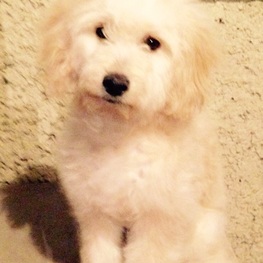 D f5994566 ba92 425f 99e5 d09db480b60f