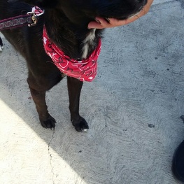 D c3c1b612 4f0d 4765 a979 a297eb92826b