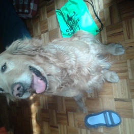 D fc77640a 7e4d 4628 b3ec 5f64aa02eed7