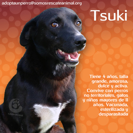 D b679f857 d147 40cc 8d6f e180c37bedb7