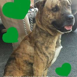 D 5ef0f506 5b38 4085 ba88 ba68dbe72053