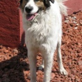 D d7e191d8 ad1c 4c61 ab49 e37cae5a6d86