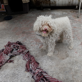 D 15bba54c 15a7 454a 852c fd37bb11eca8