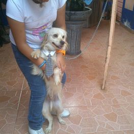 D 0642dafe 9d13 49a2 927d 243fc0dba062