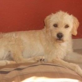 D 6ba20724 470c 48aa 9225 5868730a906f