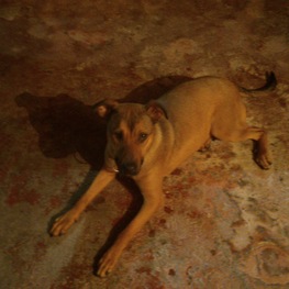 D acd93ab5 174c 4c79 99aa 7fe7b4654b8b