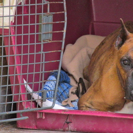 D b723c987 307a 4131 821f 90ba8a9e859a