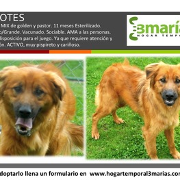 D 52a0ba43 5d48 4294 919c 8010d7ed0441