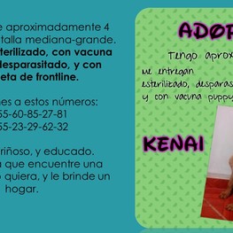 D c53e90d4 c24a 4ad1 b7ac 1809af571bd9