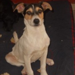 D aa8ccd24 7f5d 4ecc 8153 4dd6d4034bc1