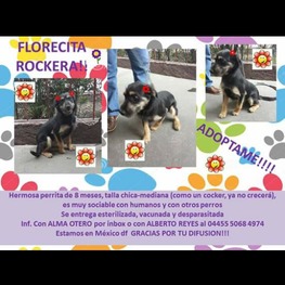 D 57a01526 ecc2 45ea 9bdd fb0e471ba398