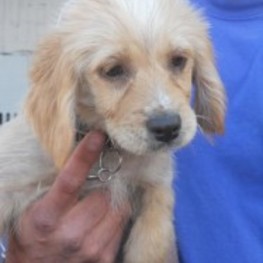 D 55b4a4d4 570b 49e0 a306 99ad506c38db