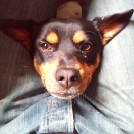 D 96051e9d 24d1 4e3a 8773 66486e019733