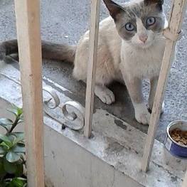 D 4fbc6cce 76d5 49ef aff0 131aea6b6999