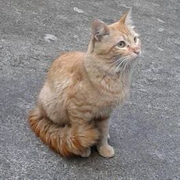 D 95c2edf6 1497 47ae 832f 7fdea9b1eaa9