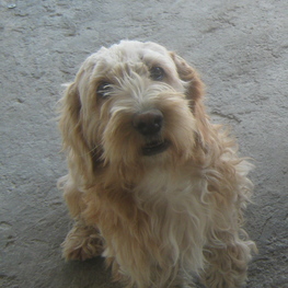 D 0222978b 2229 4993 abc5 961764ccdb8b