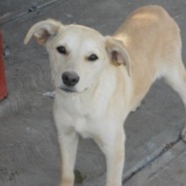 D af759512 afcd 4e42 a24f 71818dd55d22