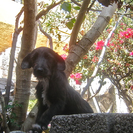 D 32b2774d a85c 496f bb77 3a3e5a32a24c