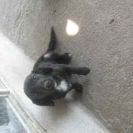 D 3c639216 e22a 4c37 9f9c 9351f205c559