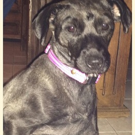 D d254e41f 0f55 468e 8cd0 e38b83f08599