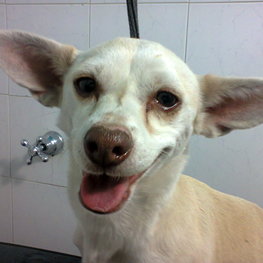 D 20f496b5 a455 4419 9df1 88915258b578