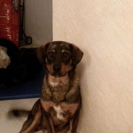 D fd10c167 ba85 429e 94c6 927c41330559