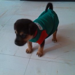 D 85be2ce4 27c5 4f49 b461 f90e6f439738