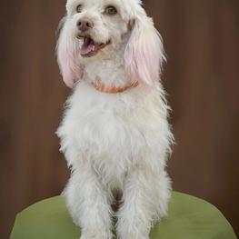 D 3dd397ff a8ef 4a85 b879 273568c24e1f