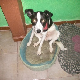 D f0278b98 1a6e 45a9 8af5 9681823cca4b