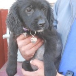 D ff6302da 0116 44b6 9be5 edac153007e8