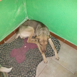 D 03480ae4 be50 40de 83f6 d837ca593afe