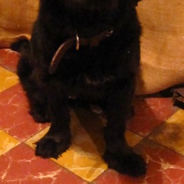 D 669e571d 255c 443c aefd cedecd11fce8