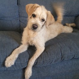 D 1943693c 7d52 43a4 bd2d 0ef9de3ac49e