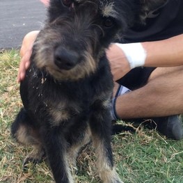 D e3294d38 d35a 45ec 9484 6aa68d138604