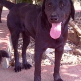 D 4818f75a 1cfa 44b2 8302 c3304d4136af