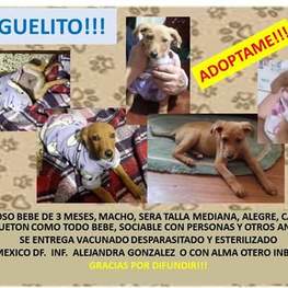 D 7c1021cb 1b48 44a2 a2d5 5f324780d209