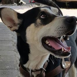 D 1ba091af 602d 48a2 85eb 4fff2bc0c6c8