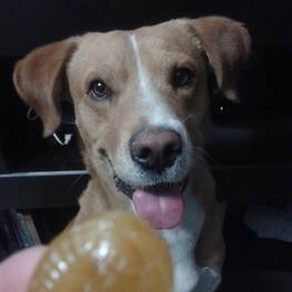 D b3ae6e13 dda2 4d0e ae00 5a7541dc083f