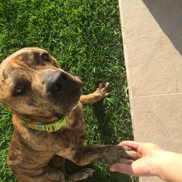 D a8284fa6 3174 490a 9357 81e7a56319ea