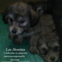 D 1ed60d22 d34f 4944 b8e1 c2a0e14e4854