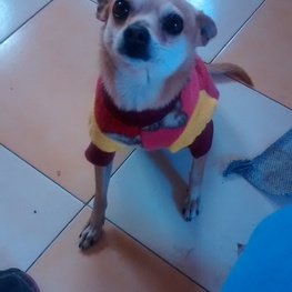 D 71675da7 900a 4ac1 9984 dbf3c26d9faa